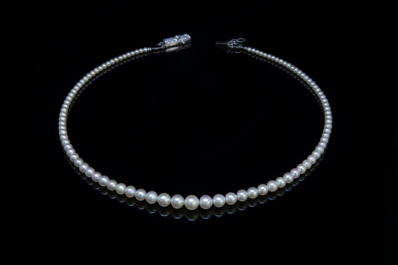 Single Strand Premium Pearl Necklace