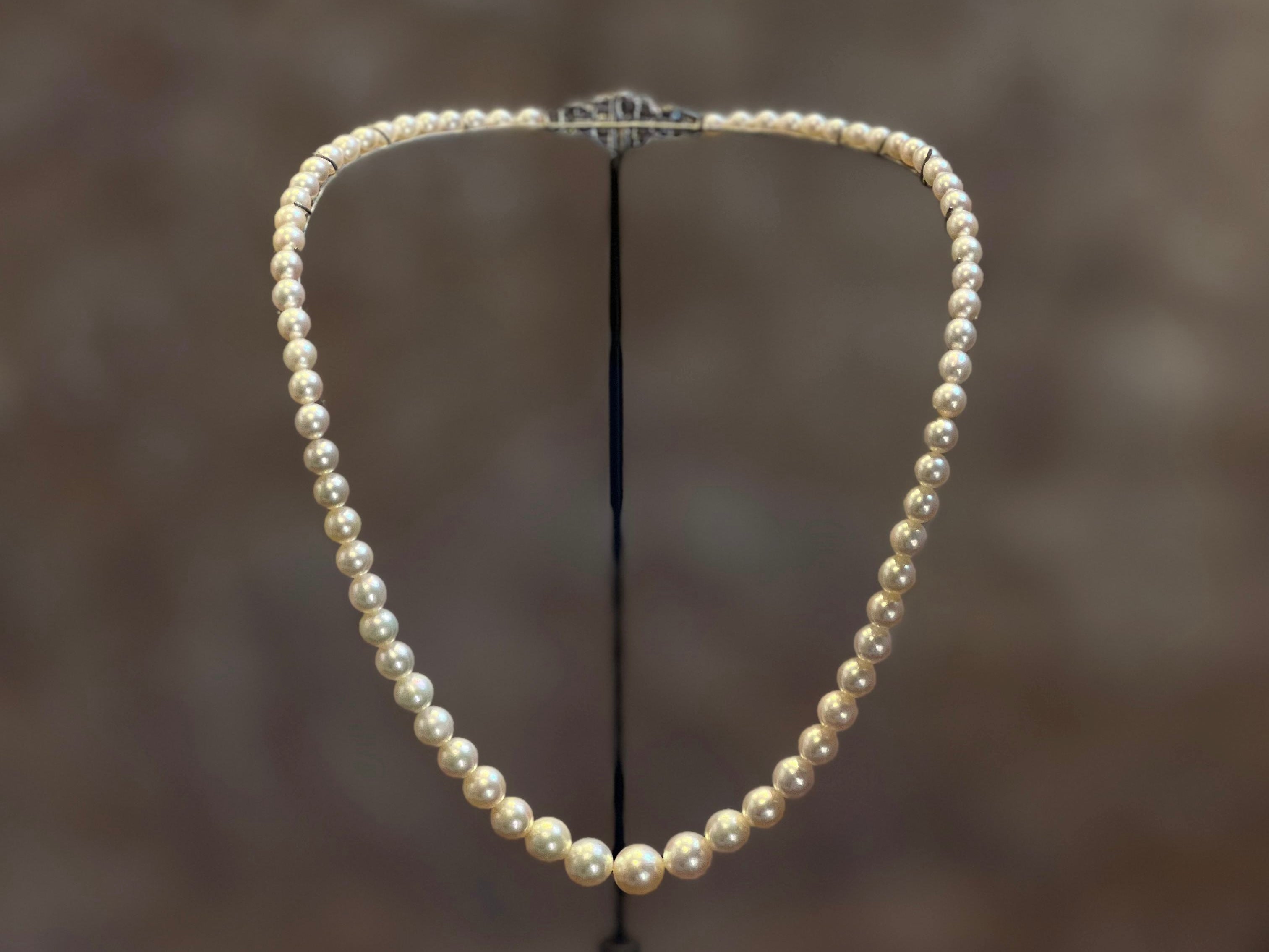 Bahraini Pearls: The Bond Between Pearls and Power