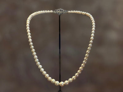 Bahraini Pearls: The Bond Between Pearls and Power