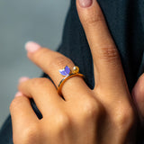 خاتم مجموعة التوليب الأرجوانية