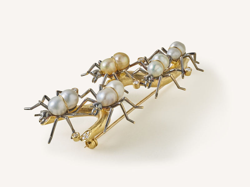 Ant Brooch